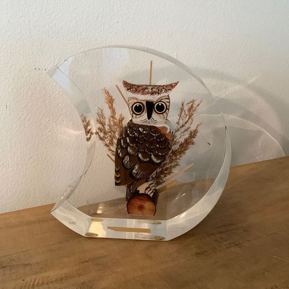 Vintage Mid-Century Hand Carved Wooden Owl Encased in Lucite Shaped Moon